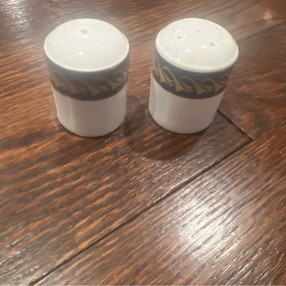 Concorde Jet Logo Royal Doulton Tableware LimitedSalt  and Pepper Shakers pots - Picture 1 of 4